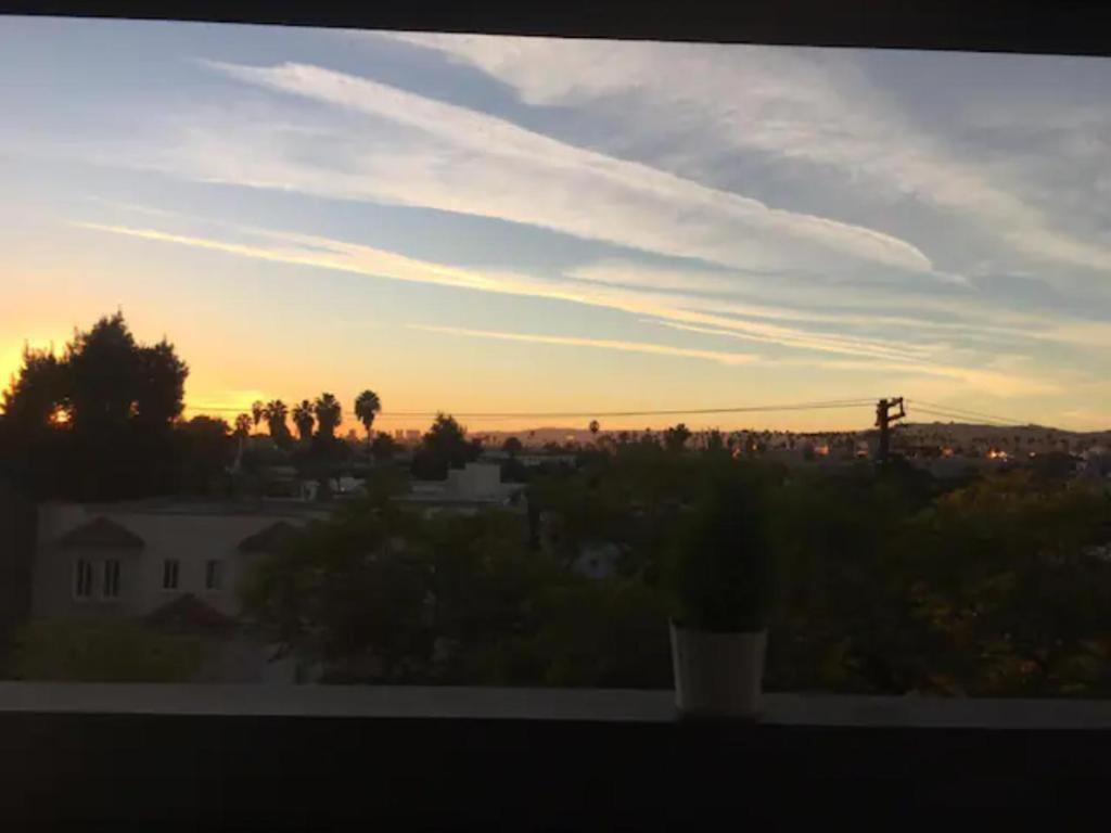 Lovely Hollywood Studio With Pool, Balcony And Parking Appartement